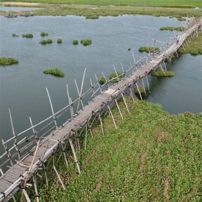 Underneath the Bamboo Bridge: Unveiling Vietnam's Enchanting Spirit Through Folklore