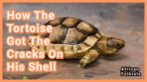 How Tortoise Got His Shell: Unveiling the Wisdom Embedded within an 18th-Century Nigerian Folktale!